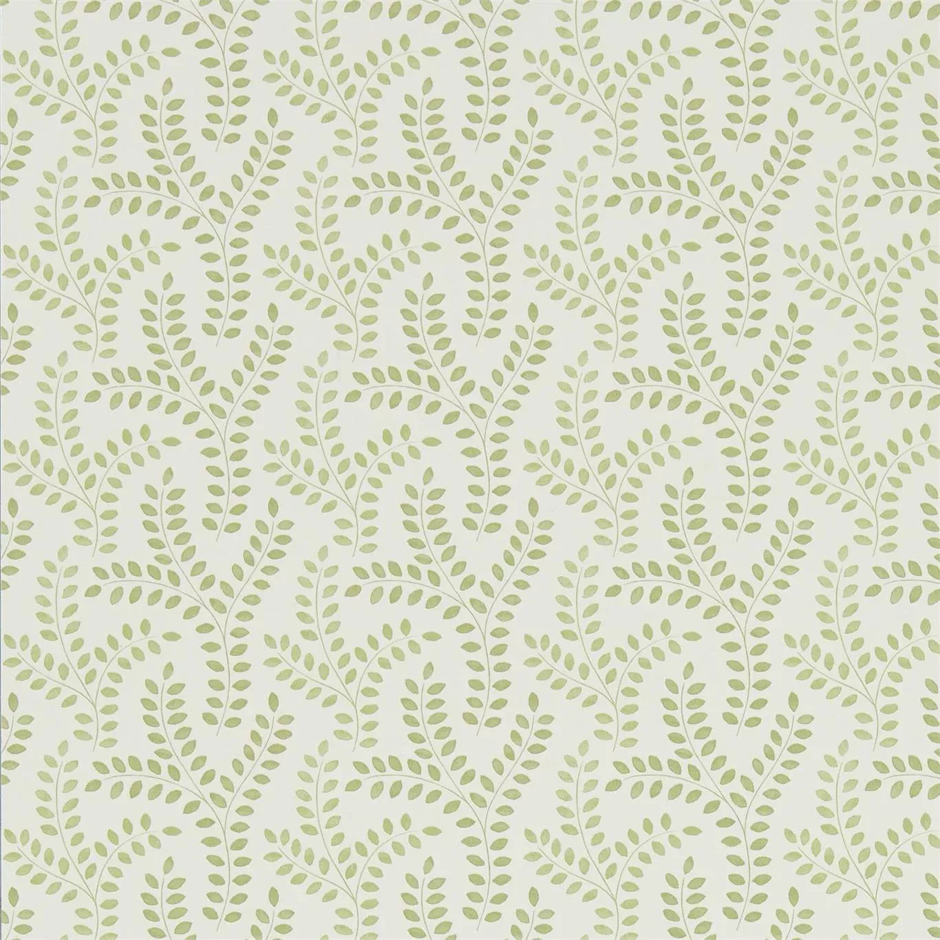 SANDERSON Yarton Wallpaper Leaves , Trees MossGravure Printed Wallpaper - DLMW216887